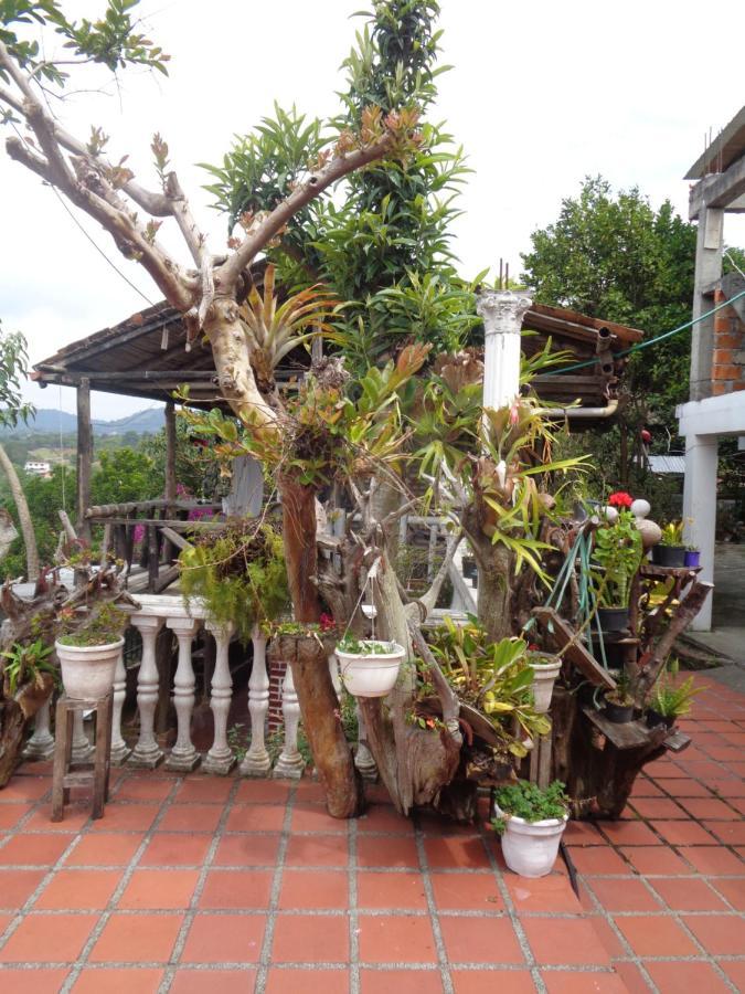 Hostal Loco Locombia San Augustin Bagian luar foto